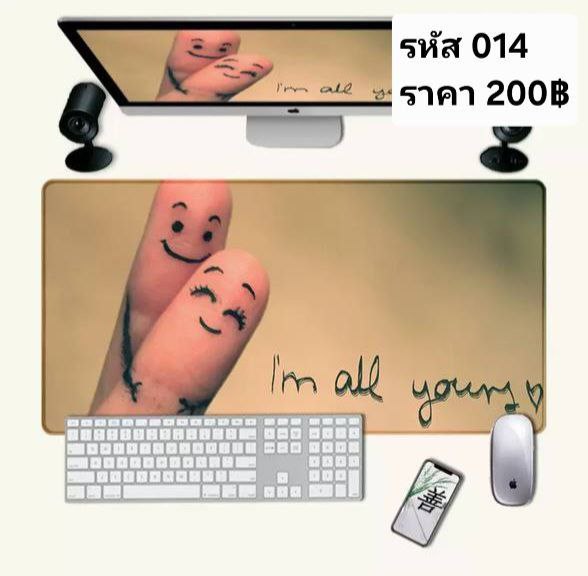 แผ่นรองเม้าส์ รหัส 014